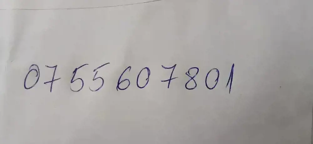 vand scroafa cu purcei 