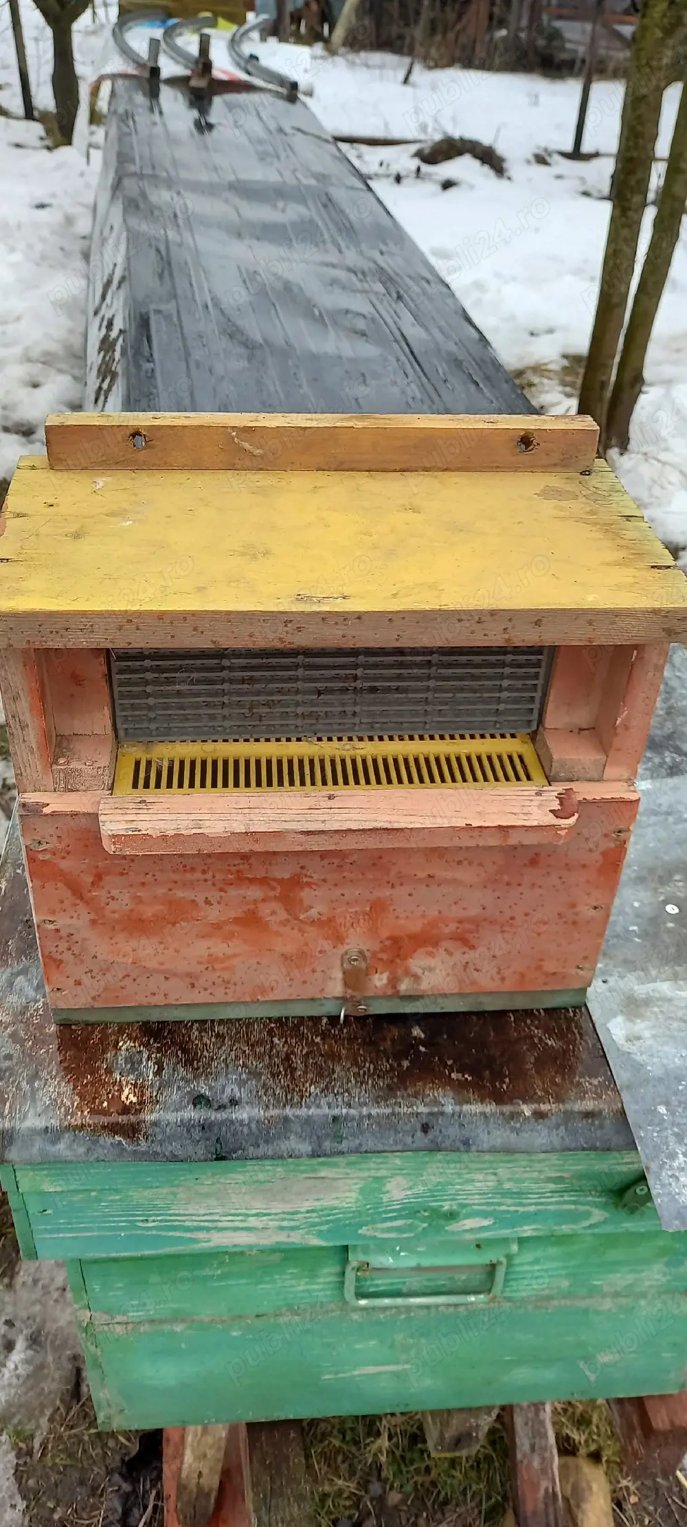 Vând  30.buc.colectoare de POLEN