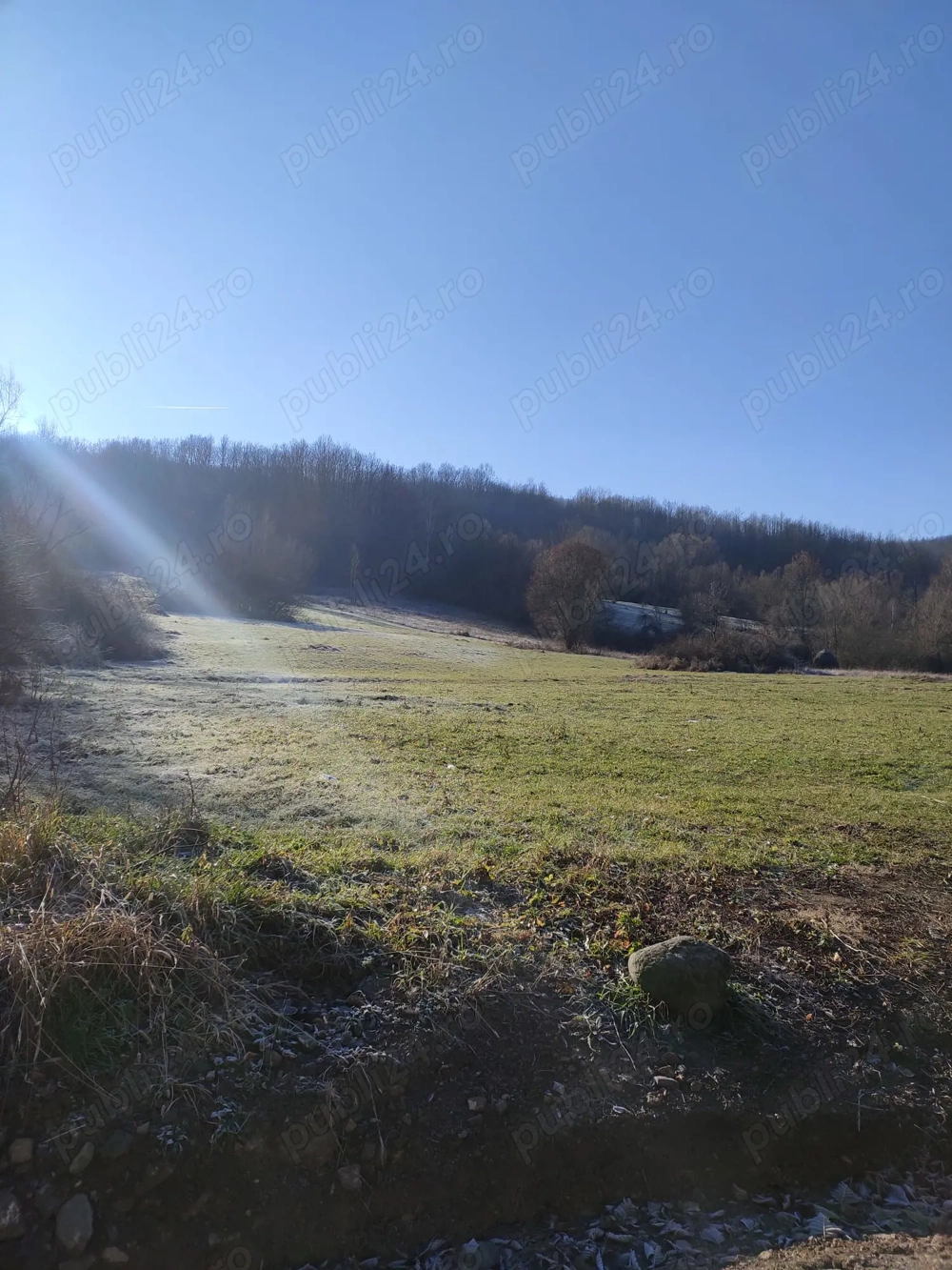 Vand Casa la tara cu 5 Ha de teren in jud Hunedoara