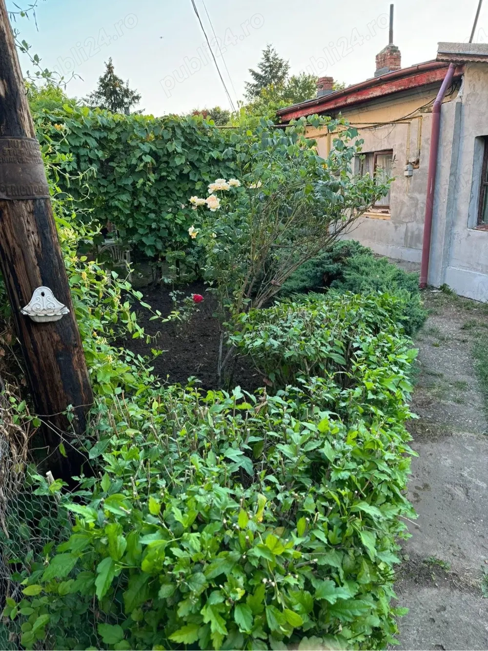 Teren de vânzare Băneasa   Dobrogeanu Gherea   Intrarea Ruginita   610 mp   zonă exclusivistă