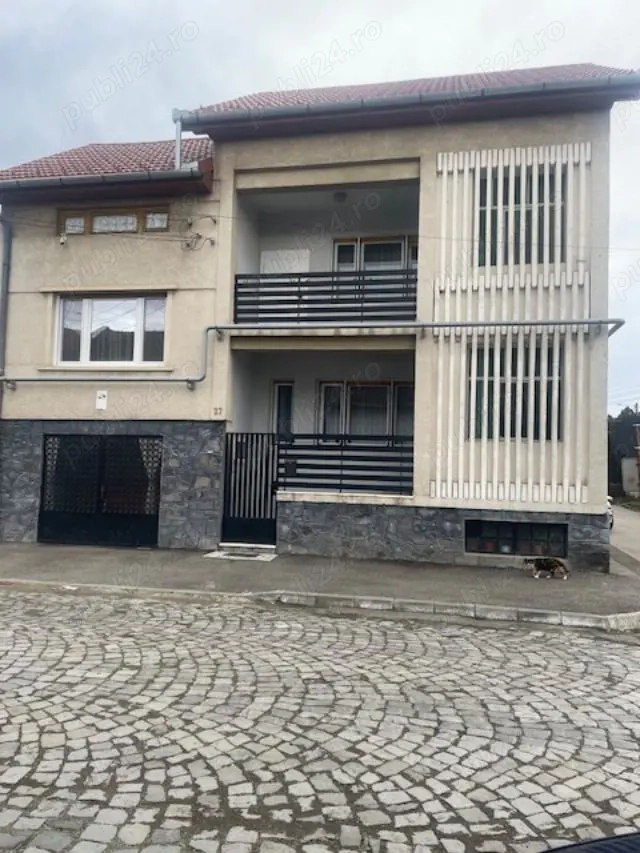 Vand vila deosebita , situata central