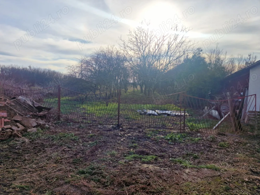 Teren de Vanzare Comuna Apateu Va Rog Sa Luati Legatura Pe WhatsApp  