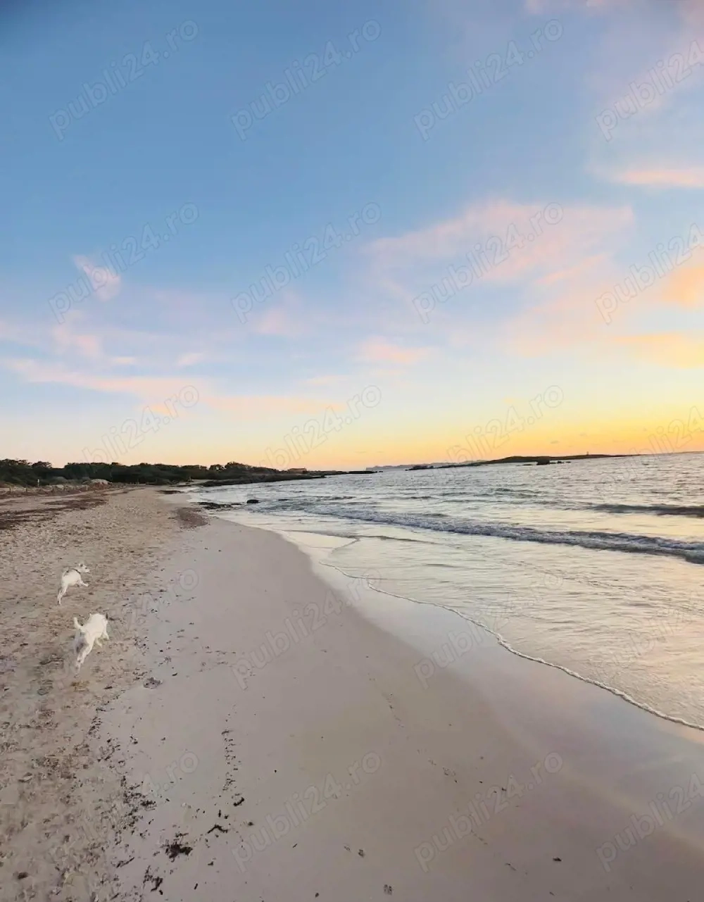 ingrijire la domiciliu