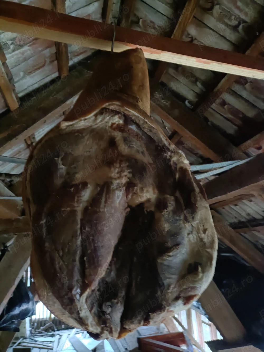 Vind două șunci de față 