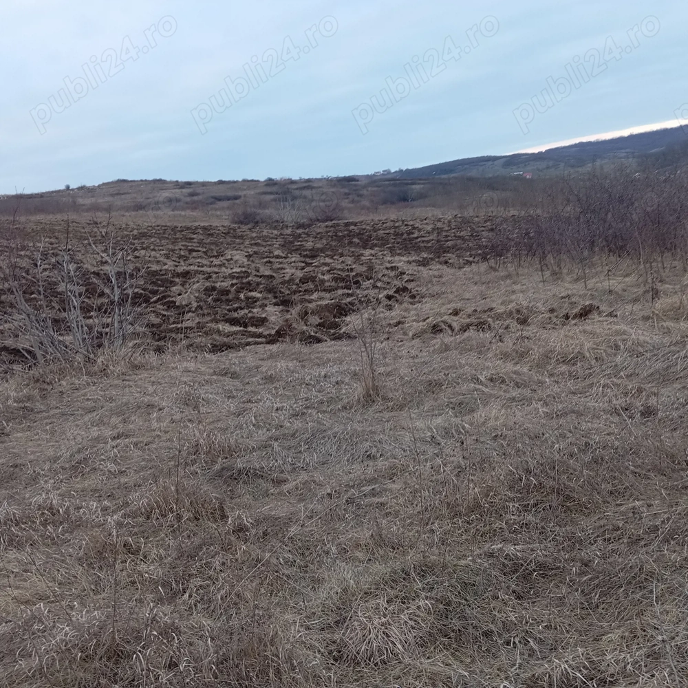 Teren intravilan Lunca Cetățui