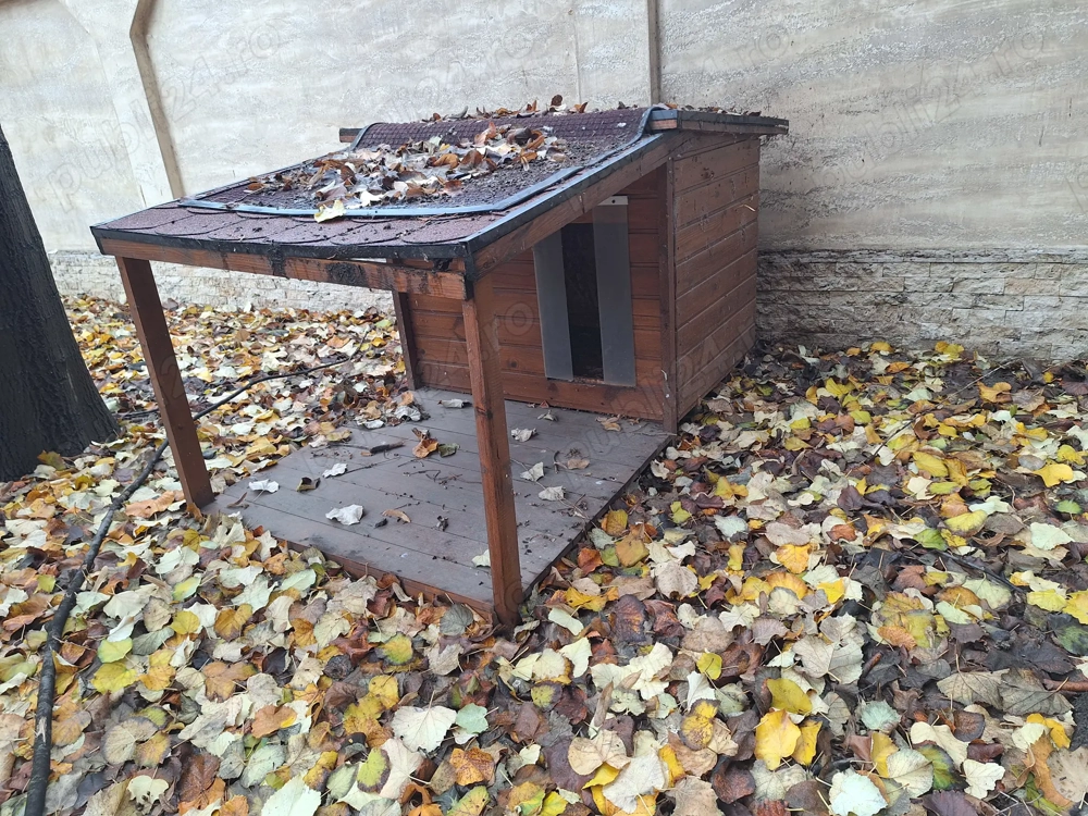 Cusca pentru Caine Takie Medie Lemn