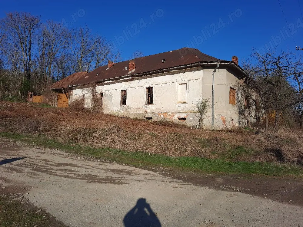 Vand Casă -Conac in Zgribesti -Timiș