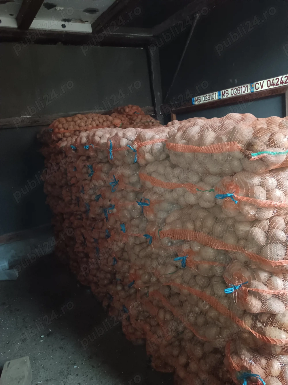 Cartofi consum si samanta 