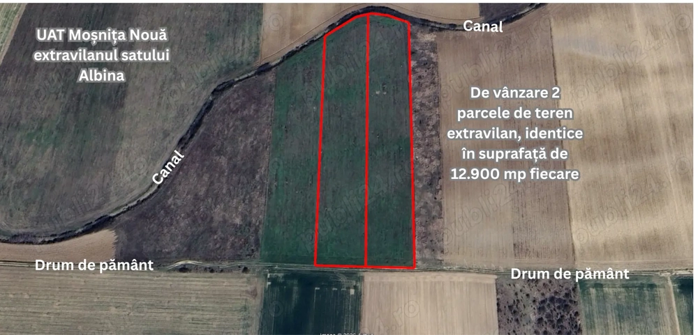 Teren extravilan de vânzare   Comuna Moșnița Nouă, sat Albina, jud. Timiș