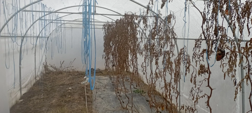 Solar de răsaduri 4 10