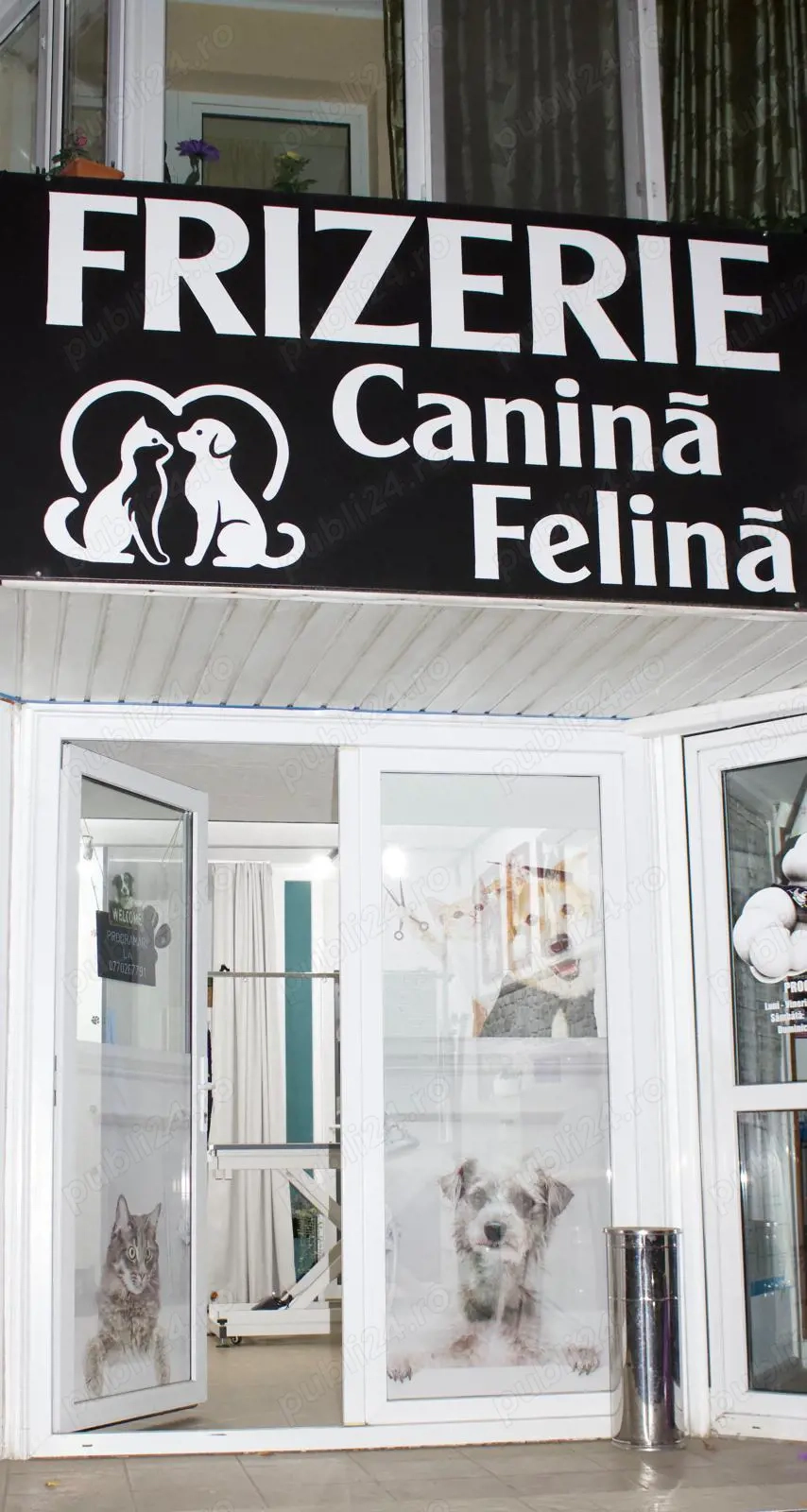 Afacere la cheie salon frizerie canina-felina