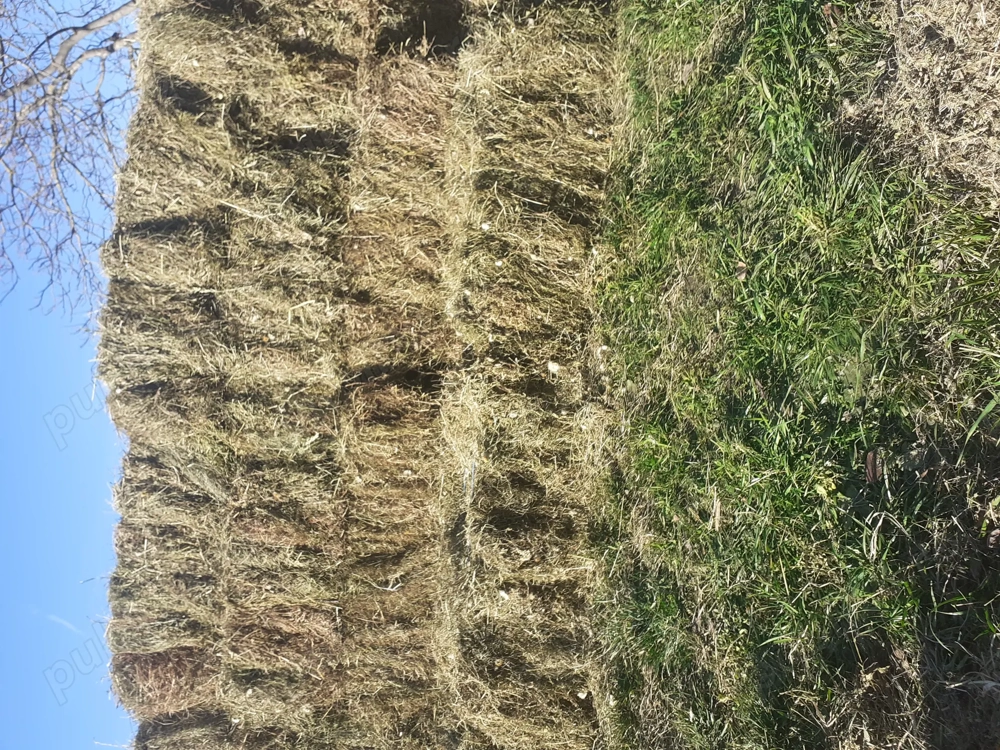 vând baloti de lucerna si omăruntă 