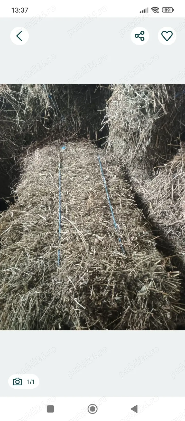 Schimb cu Oi s-au Vând 