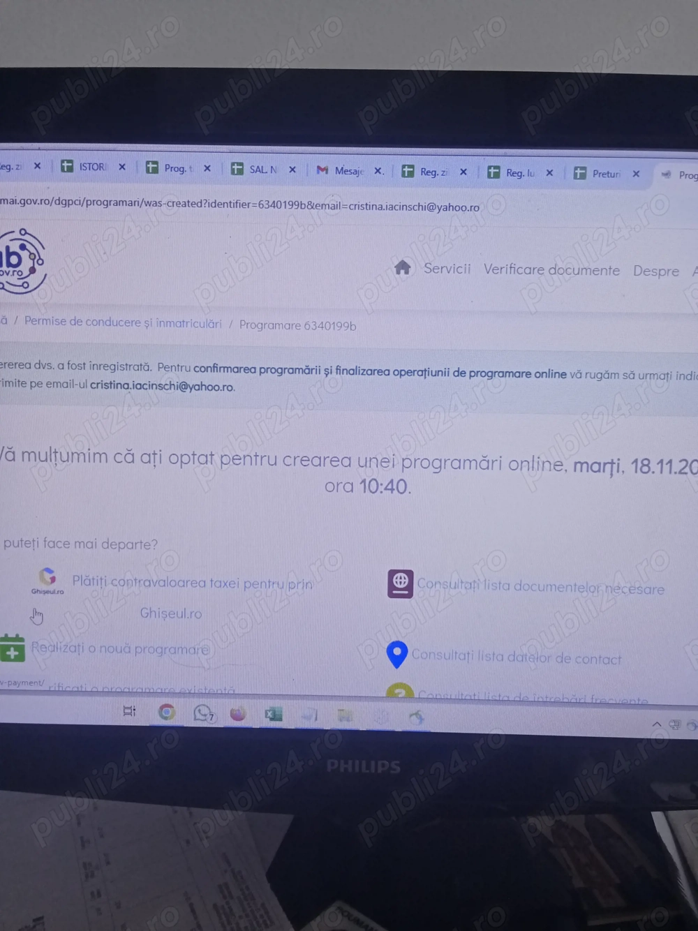 De vînzare Acordeon Parot