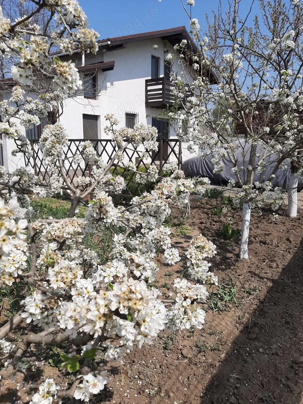 Casă + teren de vânzare 