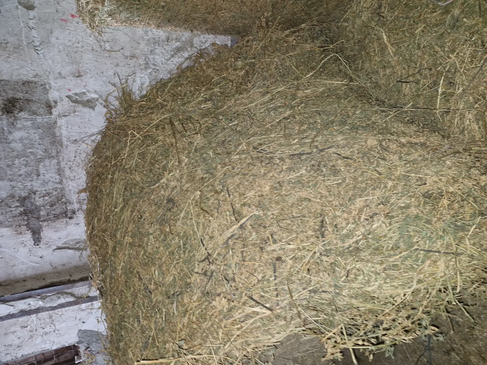 Vând baloti lucernă calitate 