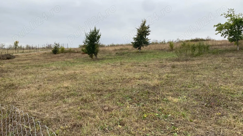 Vând teren extravilan (2026 intravilan)  2500 mp parcelabil zona hlincea lunca cetatuii