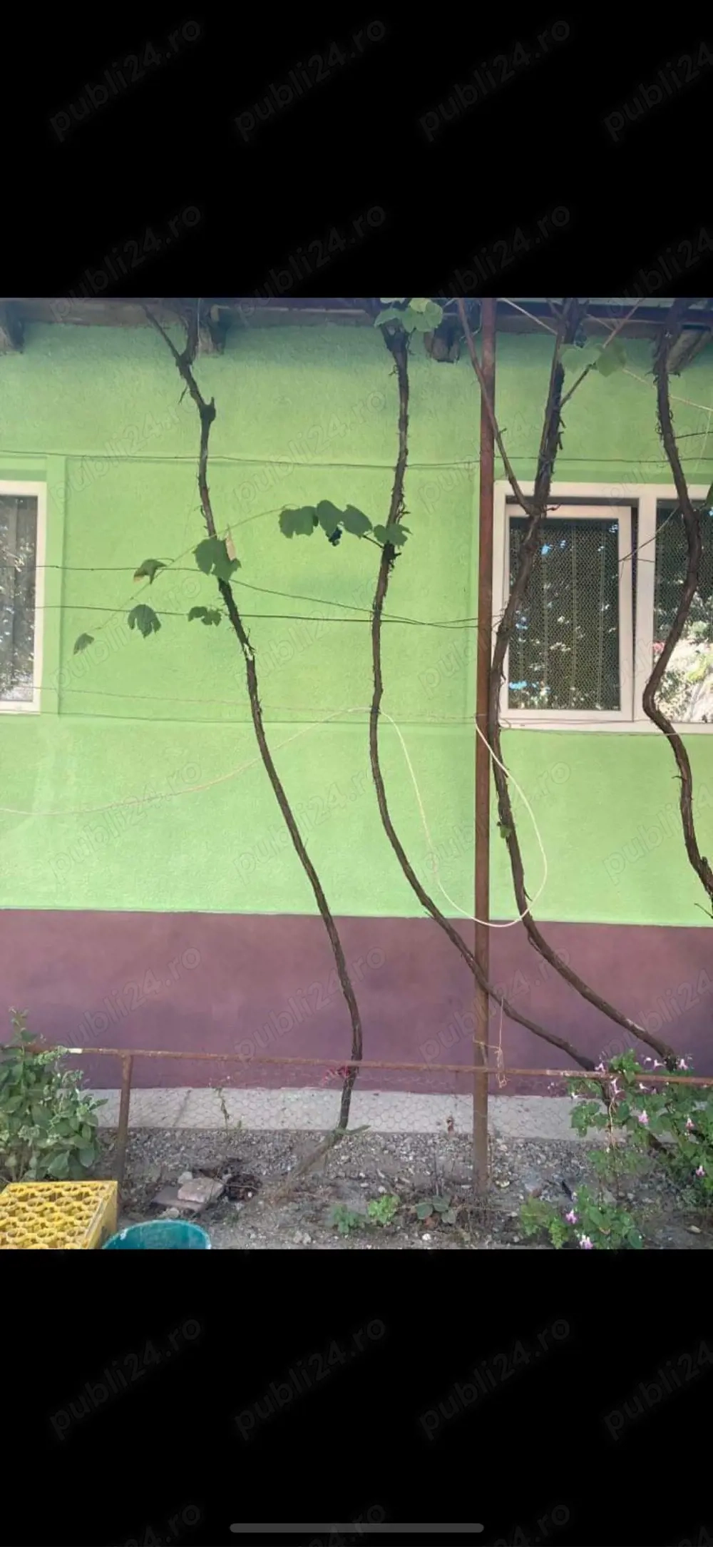 Vand casa cu teren de 18 arii in Sanpetru Almasului