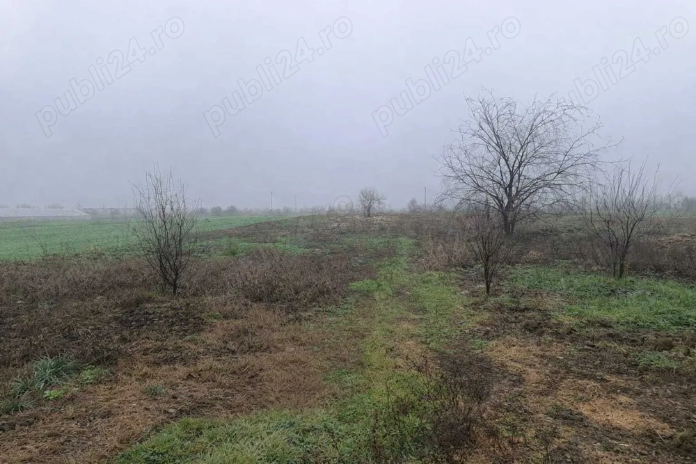 Teren Intravilan, 2000 mp, 20 min de Bucuresti