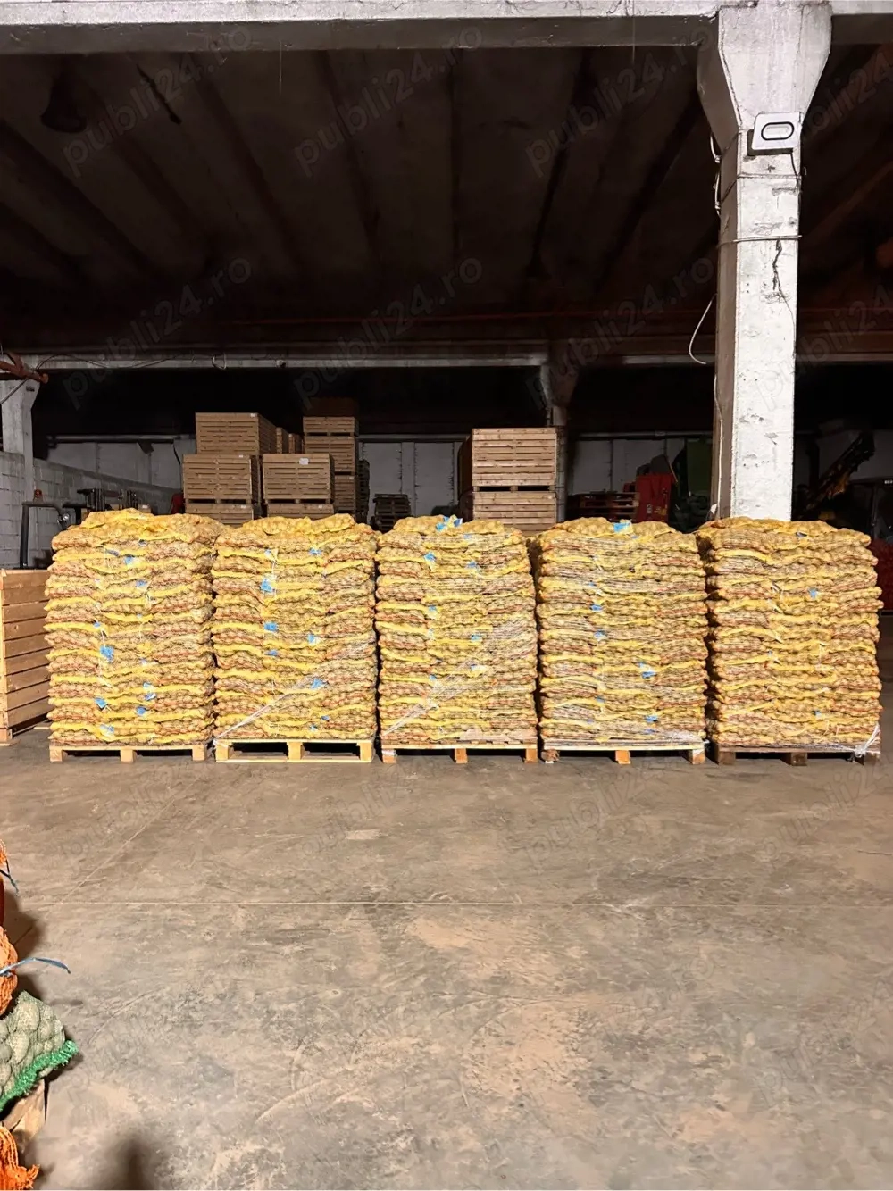 Cartofi de samanta certificata