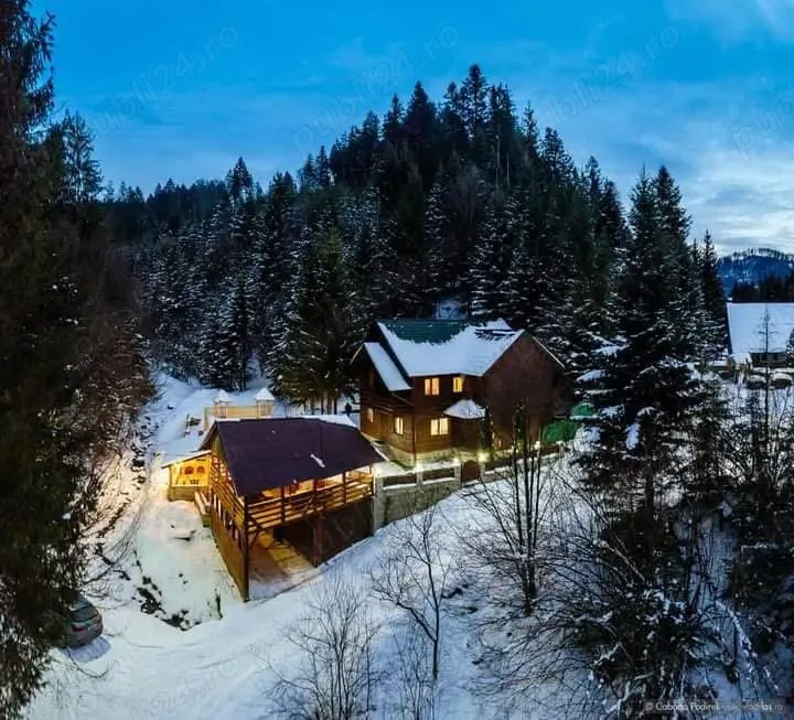 Cabană de vânzare ( afacere la cheie)