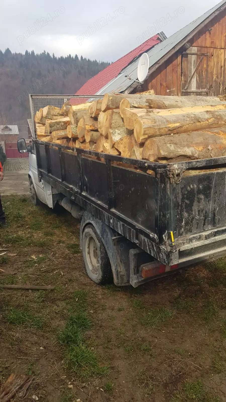 ofer transport marfa 