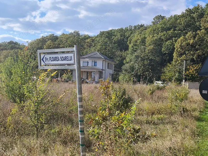 Corbeanca Padure 721 mp