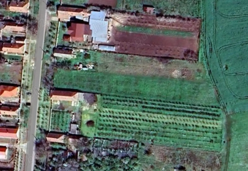 Vând teren intravilan sat Gelu jud.Timis