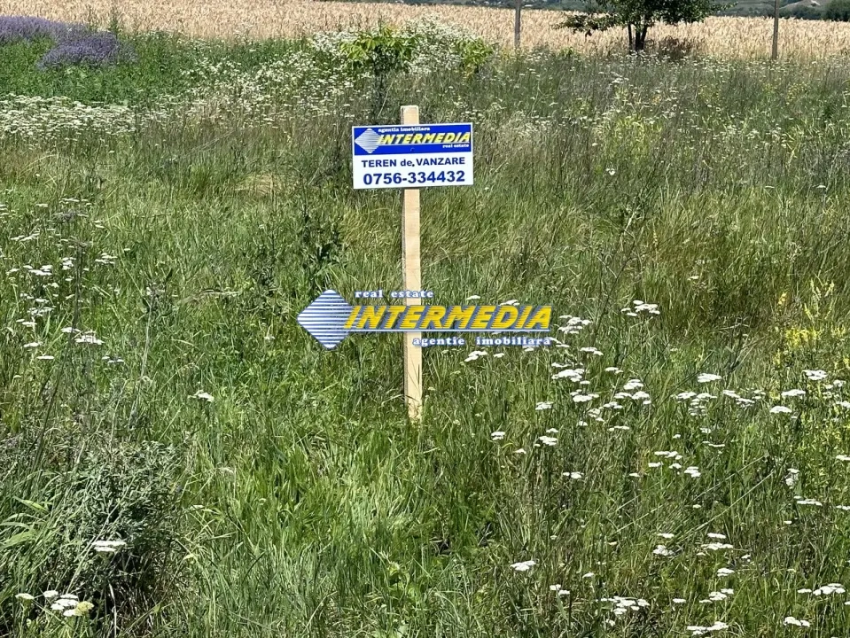  Teren Intravilan I de vanzare I562 mp I Alba Iulia I zona Micesti I
