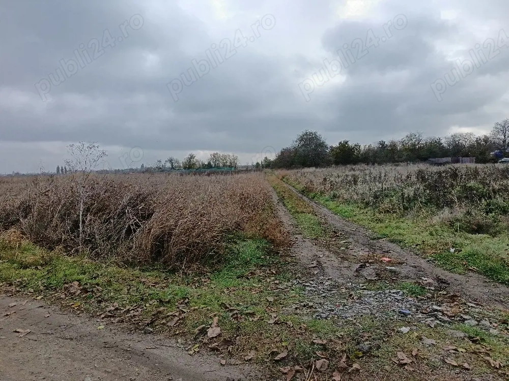 Teren intravilan Brăila. 3330 mp.