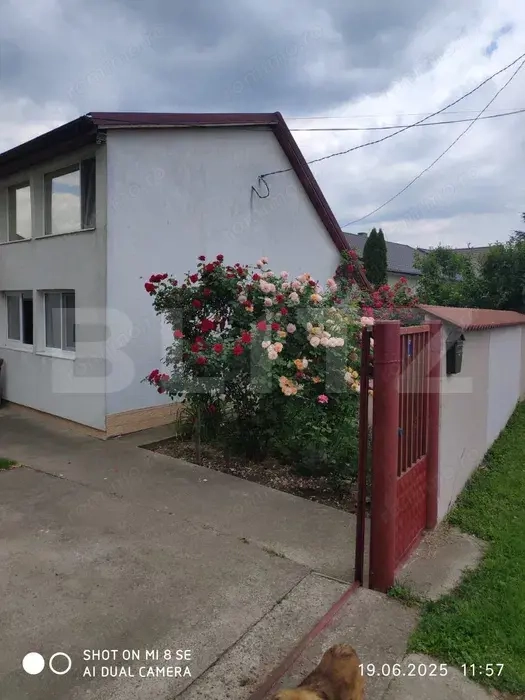 Casa de vanzare – Mitocul Dragomirnei