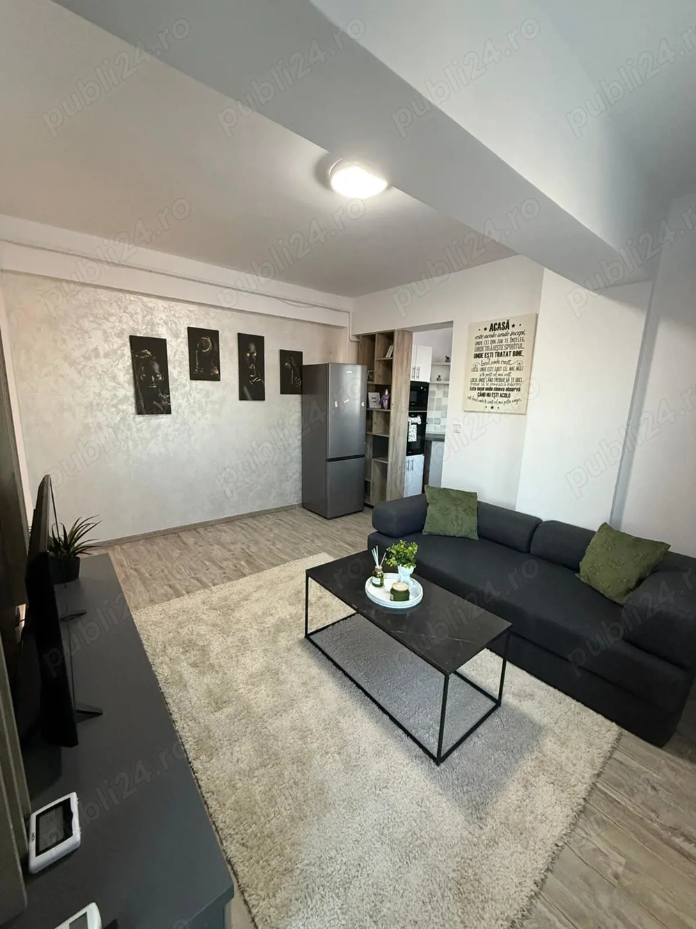 2 Camere Tudor Vlamirescu 