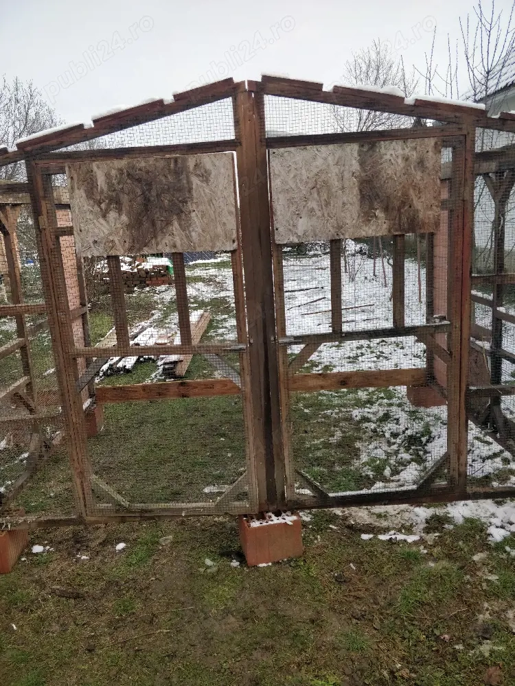 vind voliera porumbei gaini 