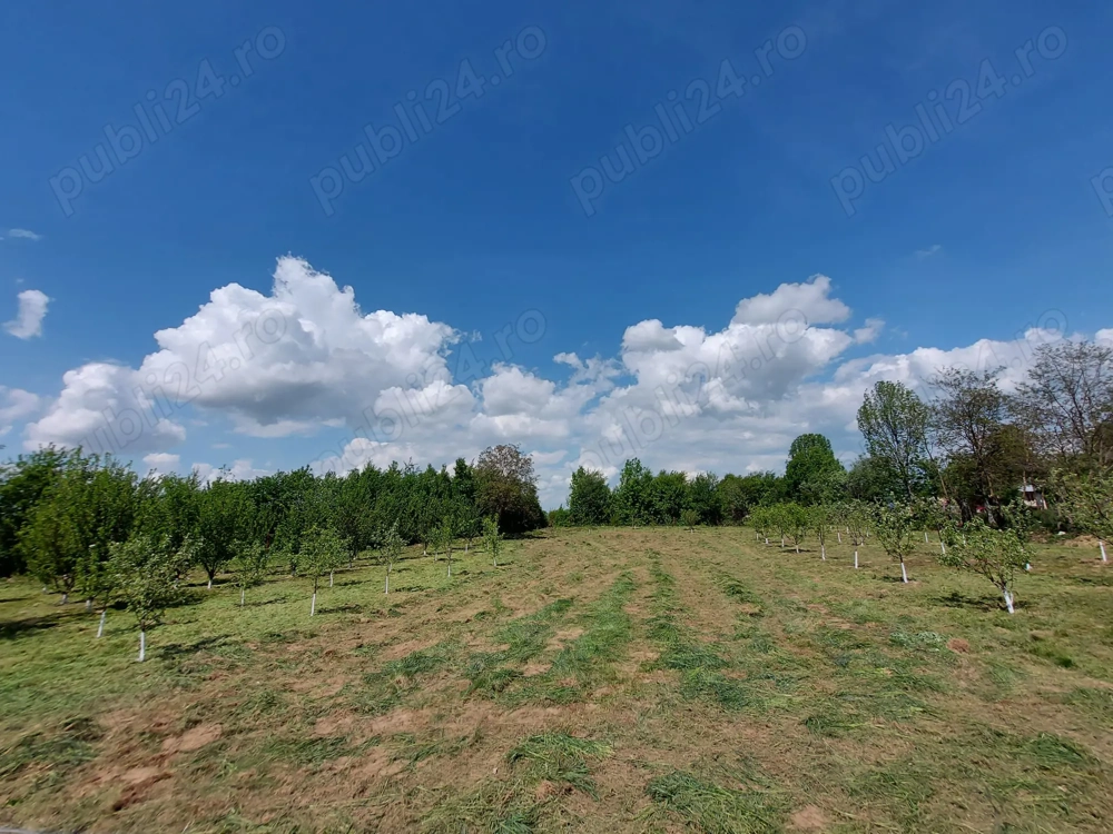 Livadă, teren intravilan 2300mp in sat Bucium jud. Brașov 