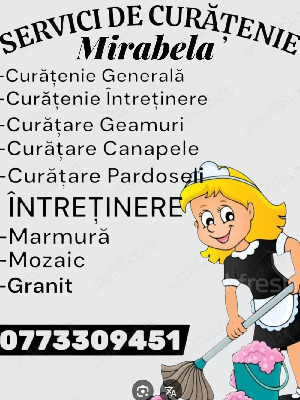 Curățenie apartamente, case, vile generală, întreținere, abonamente