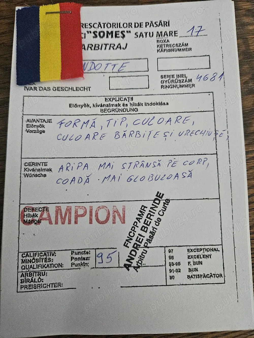 vand gaini wiandote argintiu