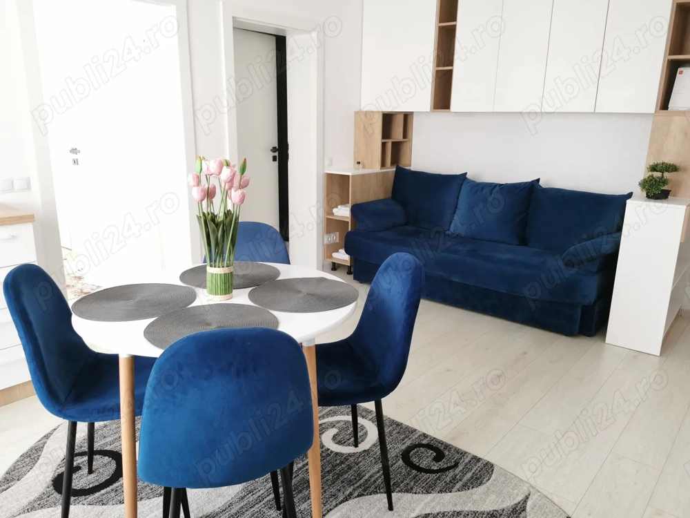 regim hotelier -baia mare