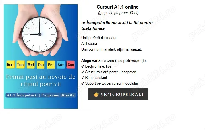 Cursuri limba germana online