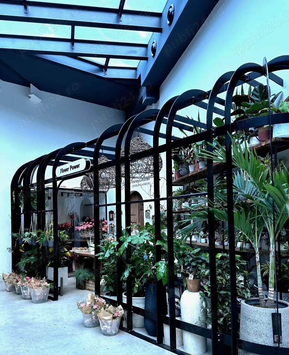 De vânzare   Business florărie funcțională | Constanța