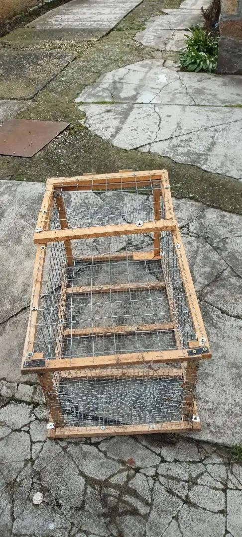 Vănd lada pt. transport păsări.