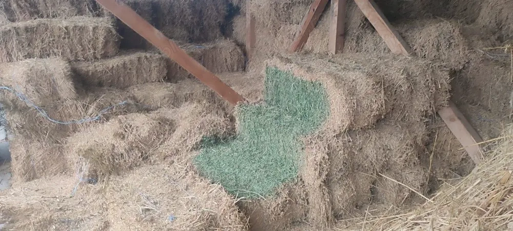 Vand baloti de lucerna