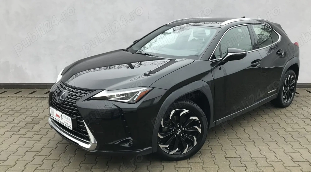 LEXUS UX300e Business