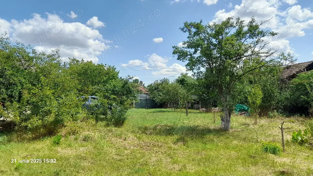 Vind teren 2500mp, la 8km.de Alexandria 