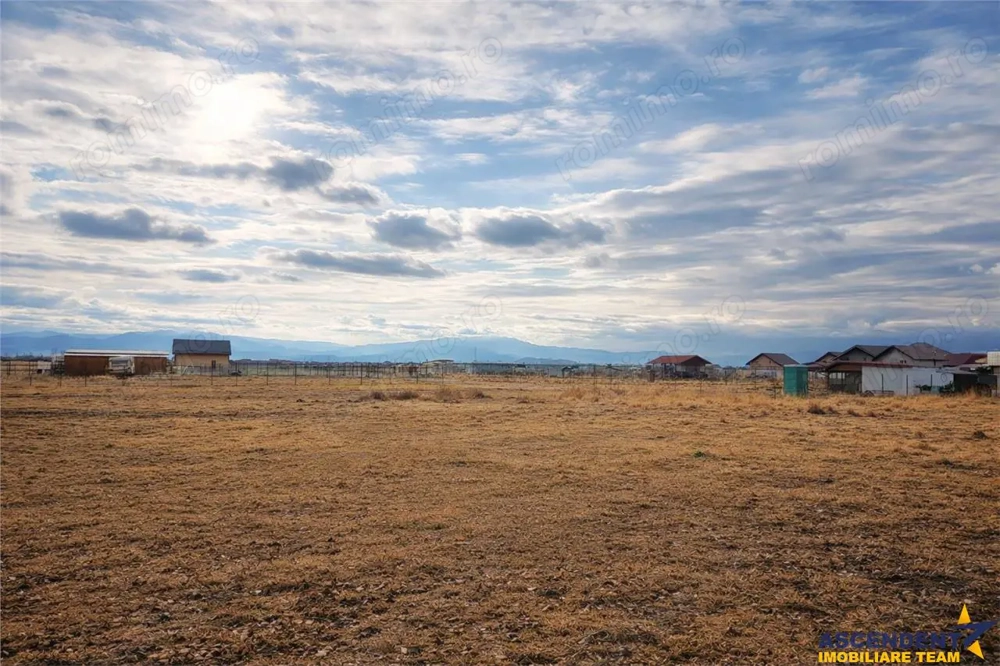 Teren de vanzare in Harman, Brasov, 2 parcele disponibile