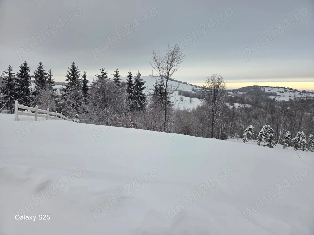 Vand teren pt cabane ,Damis