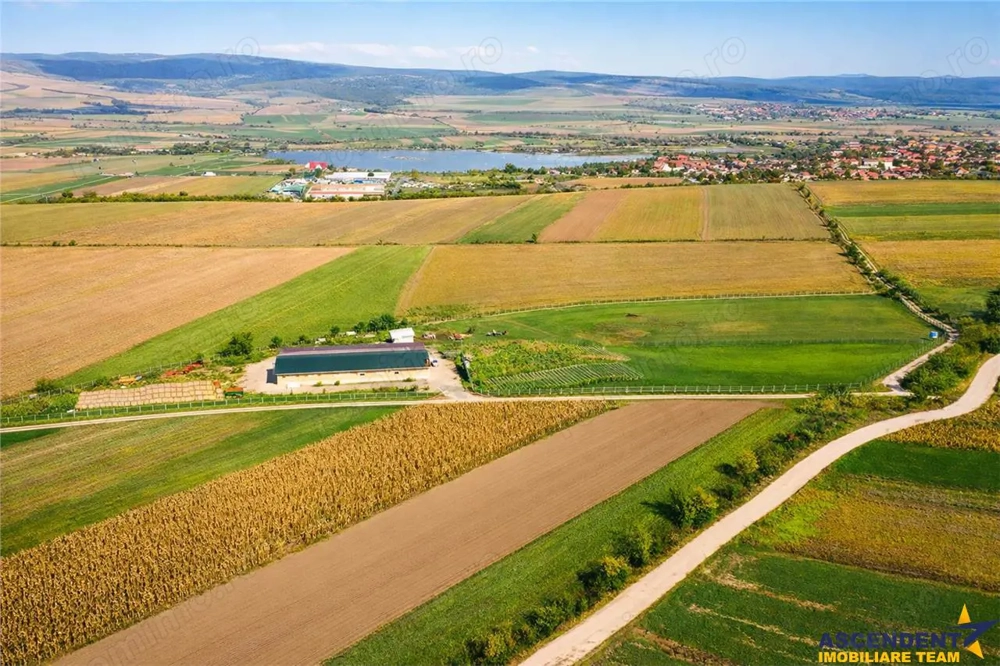 FILM! 18.000 mp, extravilan, agricol+ constructii:ferma,investitii agricole, Rotbav, Brasov