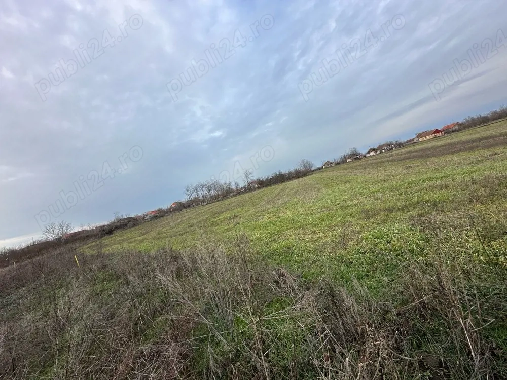 vand teren comuna Ghilad 