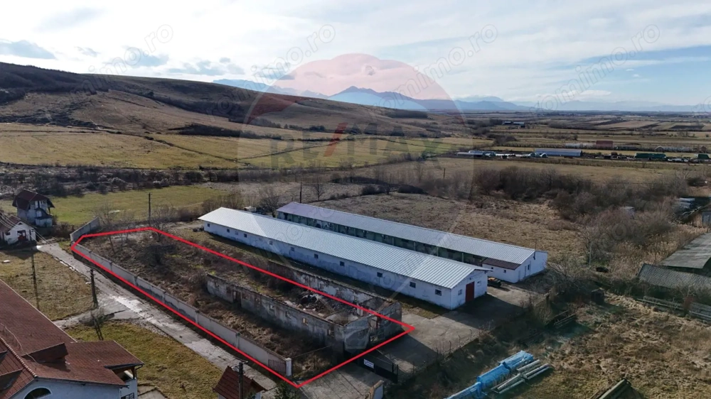 Teren industrial 1.729 mp I Demolare + construcție hală Teliu