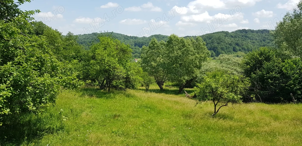 Proprietate 29.000 mp lângă Curtea de Argeș, 2 căsuțe, curent electric și apă rețea