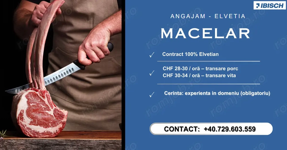 Macelari cu experienta Elvetia